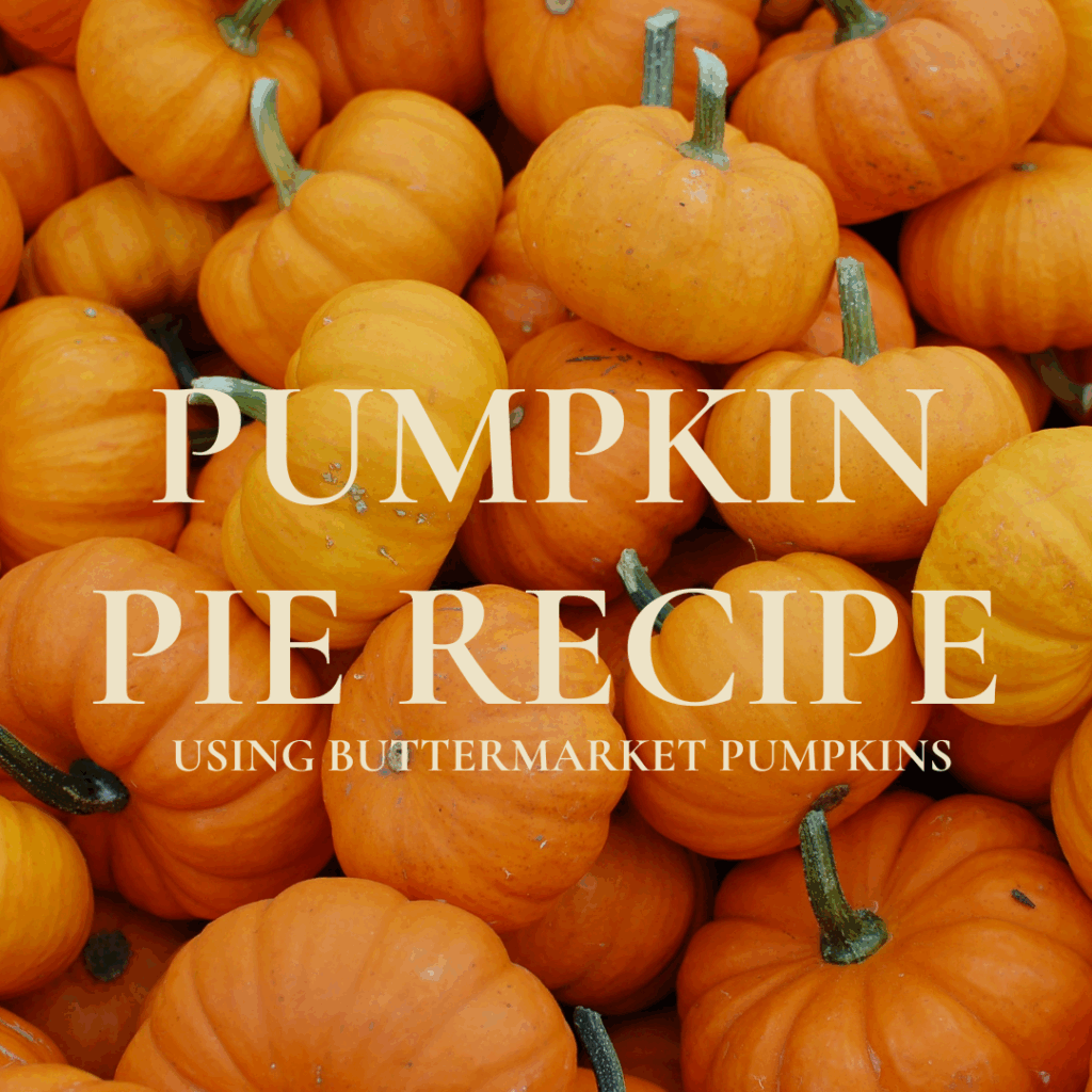 Pumpkin Pie Recipe Image